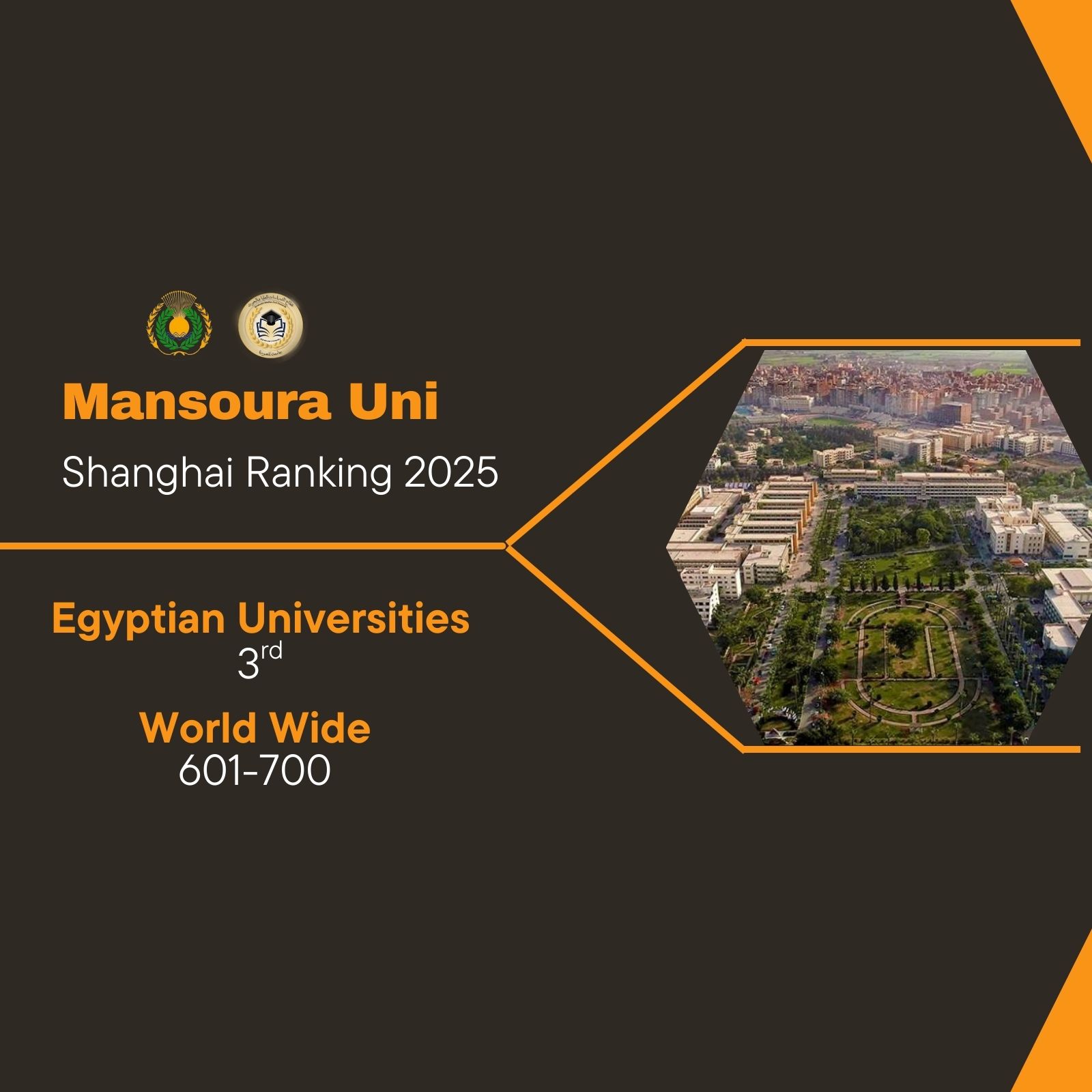 Mansoura University ranks third locally and among the top 700 universities worldwide in the Shanghai Ranking 2025